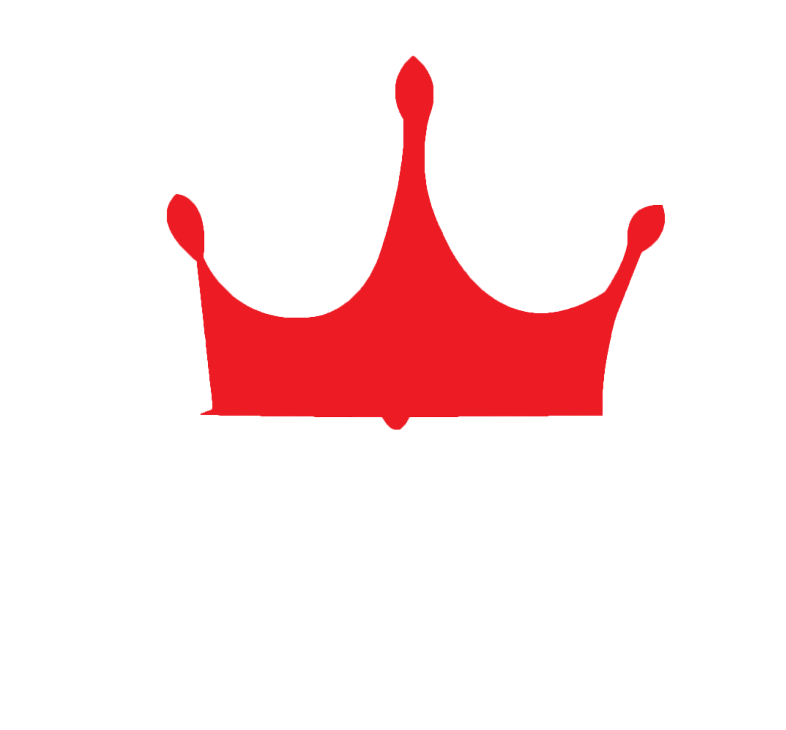 saleemstoretrading.com