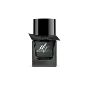BURBERRY MR. BURBERRY EDP FOR MEN 100 ML